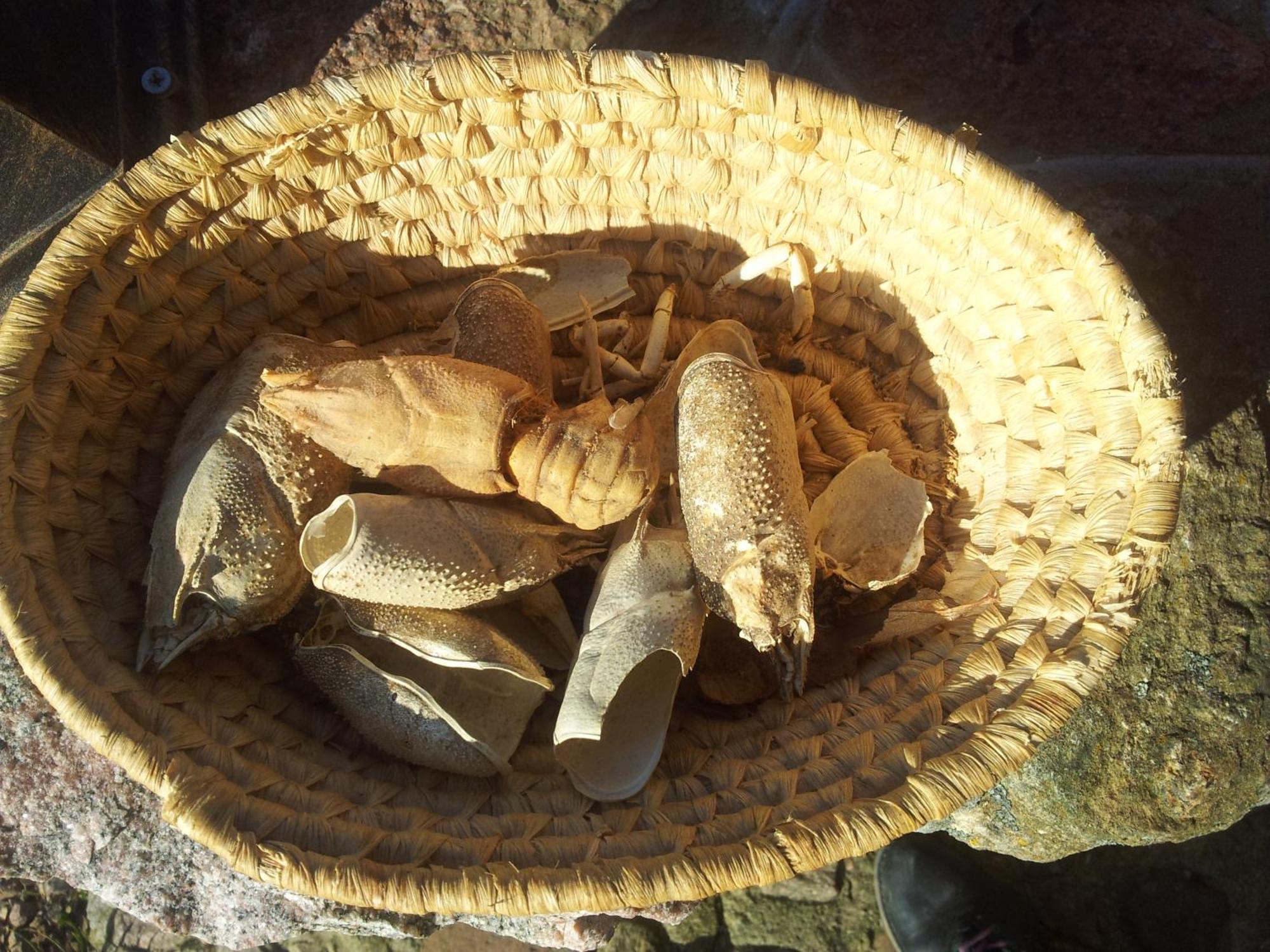 Hosteria Na Mazurach Dąbrówno Kültér fotó